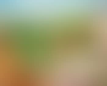 Paysage d'Auvergne (preview)