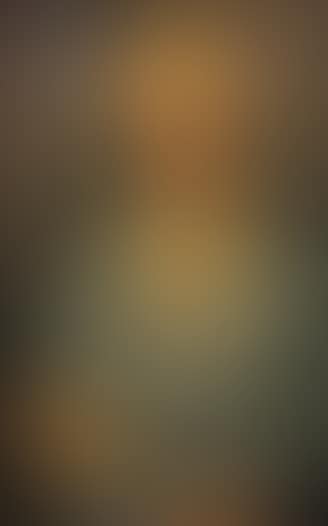 Portrait de Mme Renee Belle (preview)