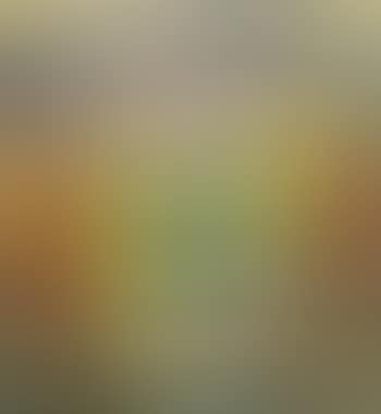 Paysage d'automne (preview)