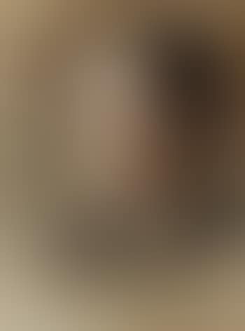 Portrait of Madame Leon Lhermitte (preview)