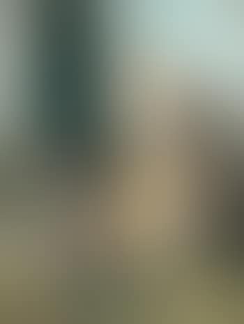 Paysage méditerranéen (preview)