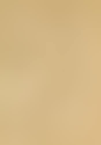 Nu de face (preview)