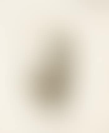 Christ (preview)