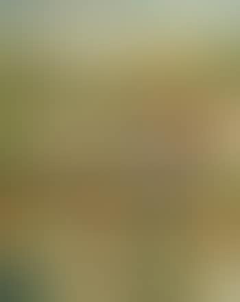 Le pont (preview)