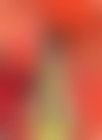 Bouquet de fleurs (preview)