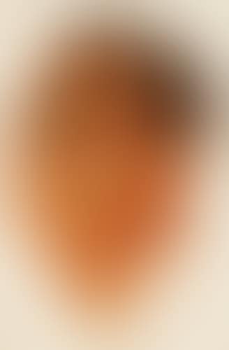 Portrait (preview)