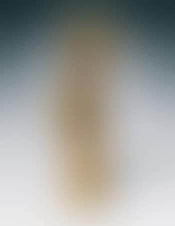 Travesti d'oiseau (preview)