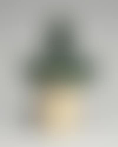 Torse au visage bande (preview)