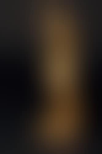 Venus de Milo (preview)