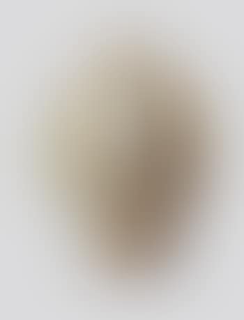 Vase (preview)