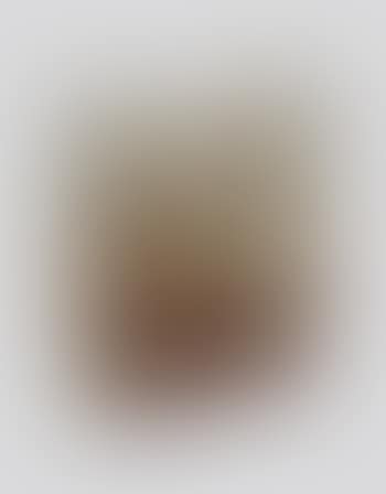 Vase (preview)