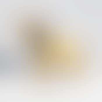 Untitled (lion) (preview)