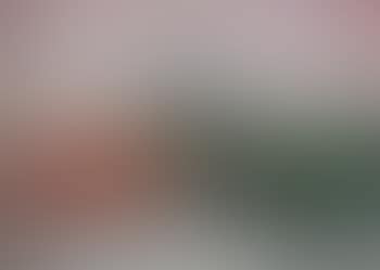 Nature morte aux figures et cerises (preview)