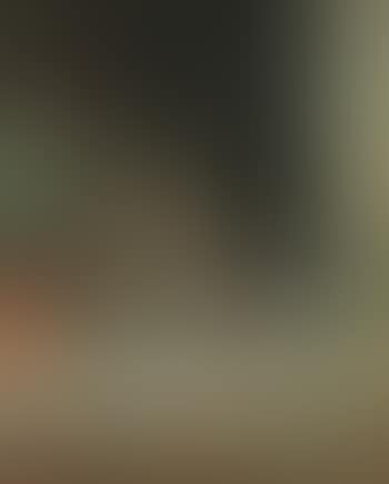 Two cats at a window (preview)