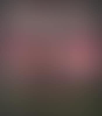 SP28 (preview)