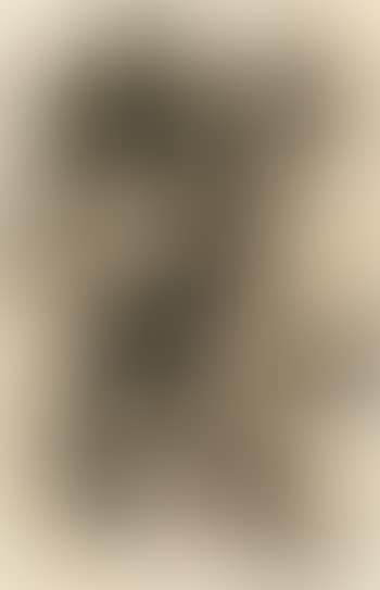 Amazon (B & M 165) (preview)
