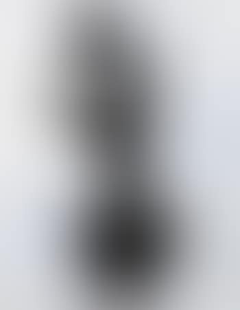 Untitled (Flower in Pot) (preview)