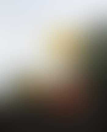 79 (preview)