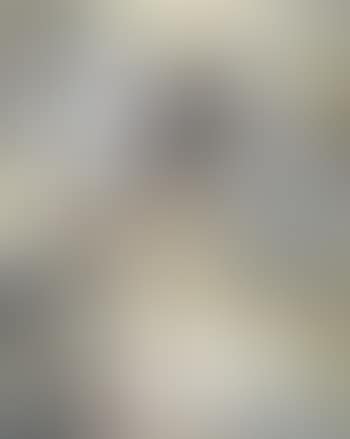 Gray Abstract Nude (preview)