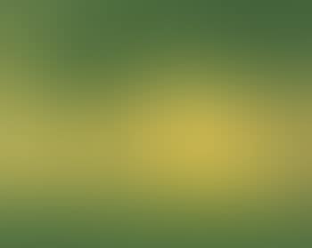 Golden Field #1 (preview)