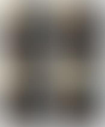 Four Works: (i) Polaroid Bunny #1; (ii) Polaroid Bunny #2; (iii) Polaroid Bunny #3; (iv) Polaroid Bunny #4 (preview)