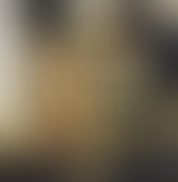 Human Toilet Revisited (Self Portraits 1990-1998) (preview)