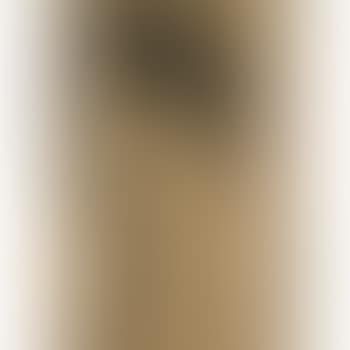 Carter Burden (Brown) (preview)