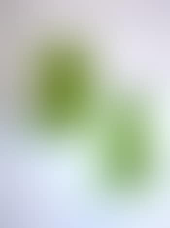 Souches (preview)