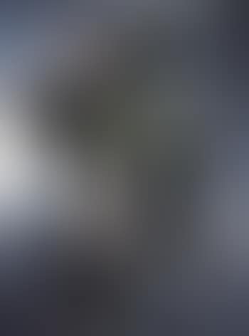 Composition (preview)