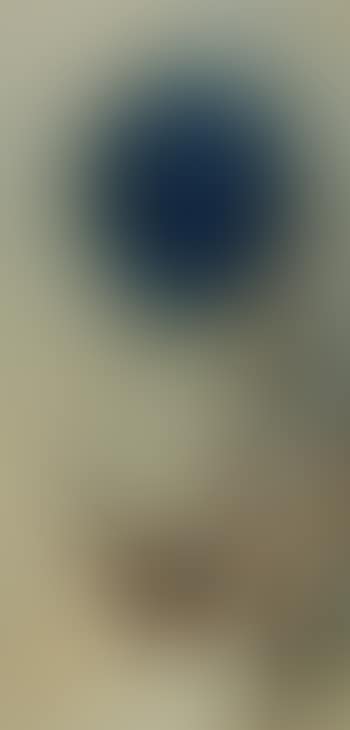 Untitled (preview)