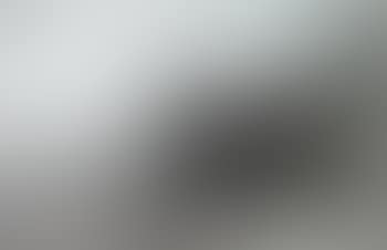 Paysage (preview)