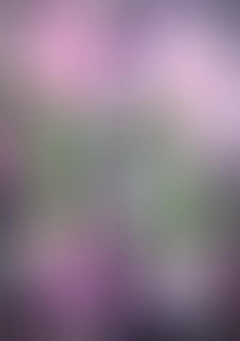 Composition rose et verte (preview)