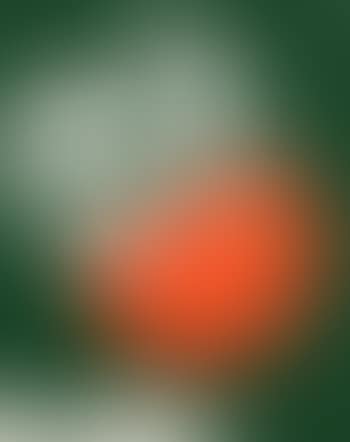 Vert au cercle 3/4 orange (preview)