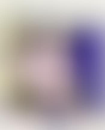 Reverie (preview)