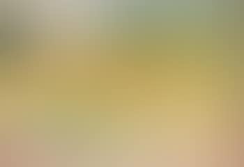 Vue d'un paysage en Asie (preview)