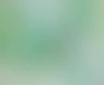 Composition en vert (preview)