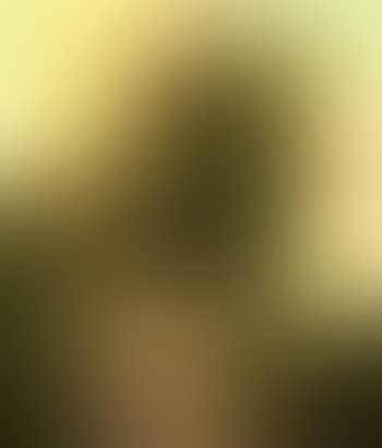 Landscape near Schevenning (preview)