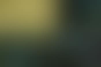 Portfolio (preview)