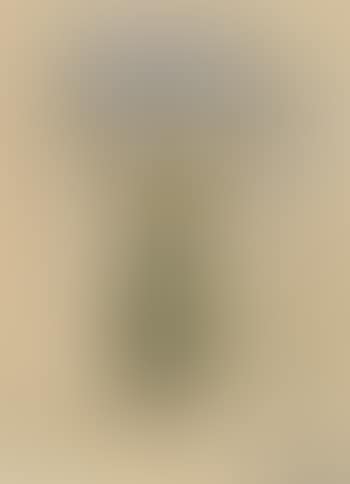 Cypress tree (preview)