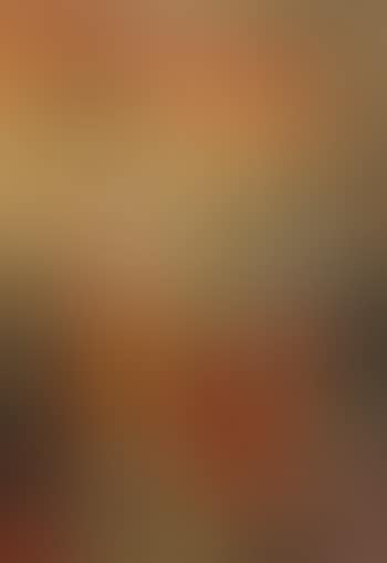 Corrida (preview)