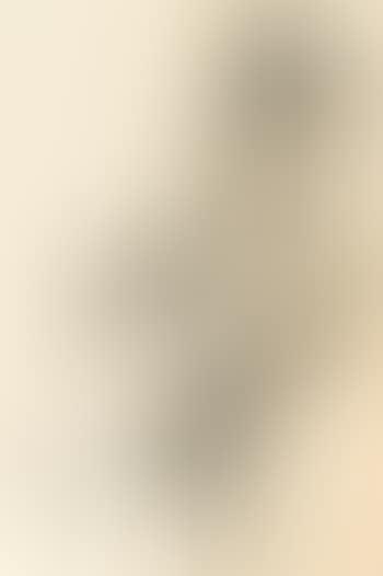 Seated nude (preview)