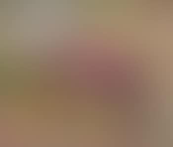Nature morte (preview)