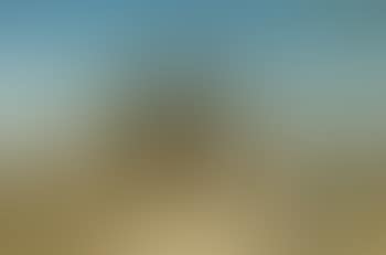 Caravane dans le desert (preview)