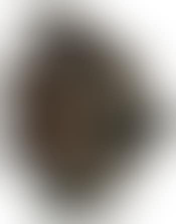 Sculpture (preview)