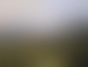 An Alpine shepherd amongst his herd, with a cow and steer (preview)