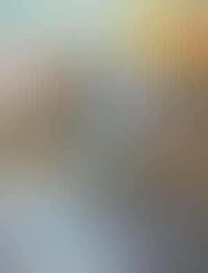 Zicht te Lier (preview)