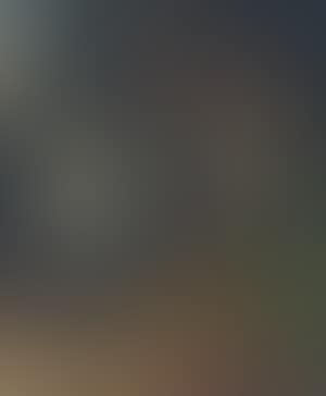 Hunting still life with birds (preview)