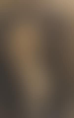 Reclining nude (preview)
