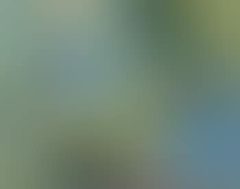 Tirol (preview)