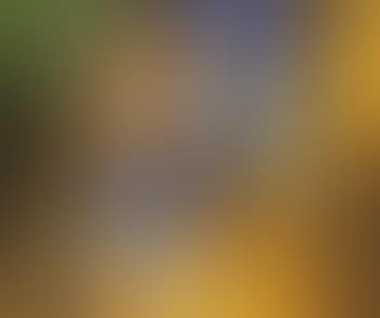 Composition (preview)